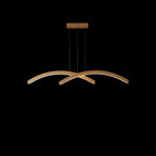LED pendant lamp"Duo"